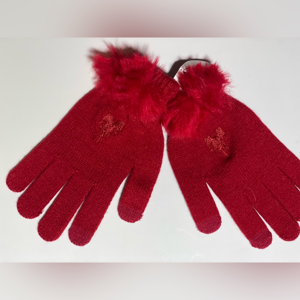 Ruby Red Knit Disney Embroidered Castle Gloves